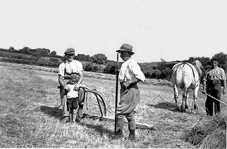 Hay Sweep