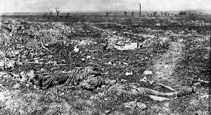 In Flanders Field 1915